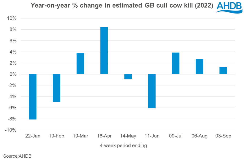graph showing year on year change in cull cow throughputs